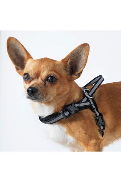 IKEA Reflective Black Small Dog Chest Collar
