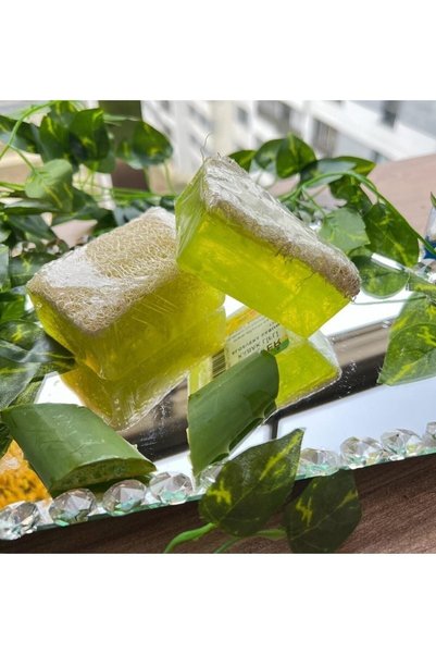 ALEYKA Natural Pumpkin Fiber Aloe Vera Soap