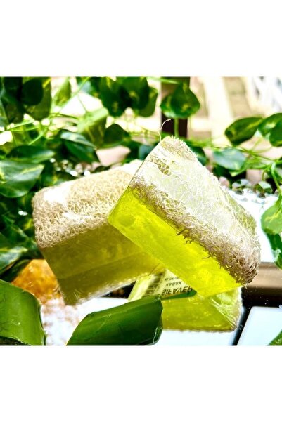 ALEYKA صابون الصبار من ألياف اليقطين الطبيعية