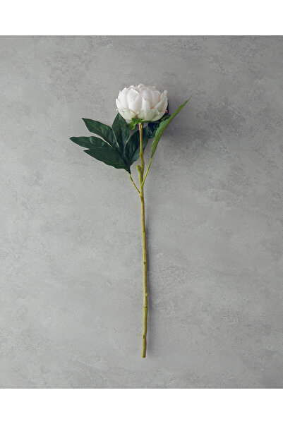 English Home Peony Tek Dal Yapay Çiçek Şampanya