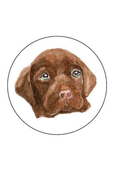 MUCA Agu Patch - Chocolate Labrador Bach