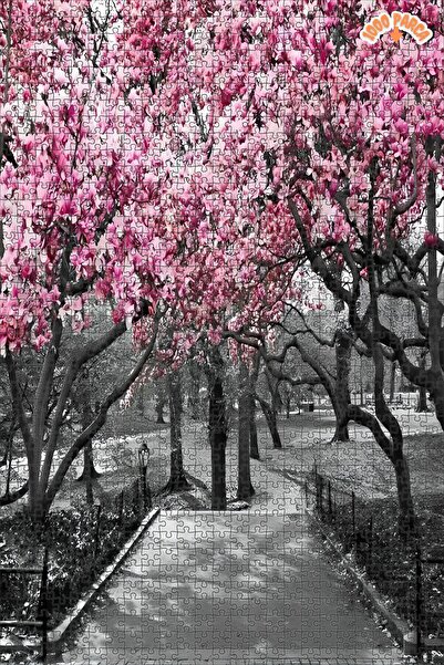 Teona Ahşap Siyah Beyaz Pembe Çiçekler Dekoratif Çift Katlı Çerçeveli Asılabi...