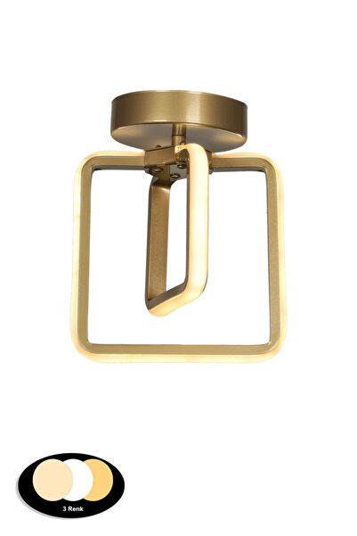 Begüsa Ferah 3 Renk Ledli Tavan Montaj Tekli Avize Eskitme