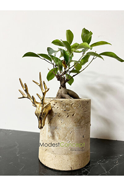 Modestmar Traverten Mermer Vazo, Traverten Saksı