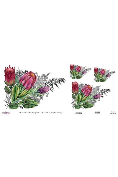 Cadence Universal Border Brass Paper Collection Ubc-016