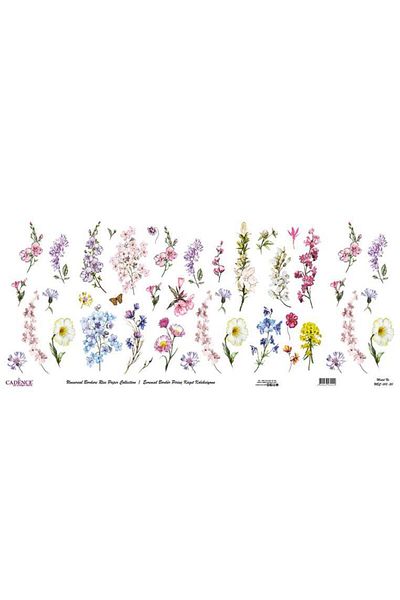 Cadence Universal Border Brass Paper Collection Ubc-013