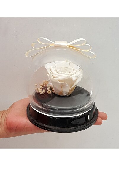 Genel Markalar Pleksi Kutuda Beyaz Solmayan Gül (XL) & Fanusta Solmayan Gül & Sus Esyalari Dekoratif Hediye