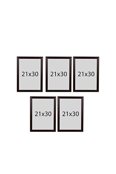 Araste 21X30 (A4) 5 Pieces Frame (a Quality) Pvc Li Model