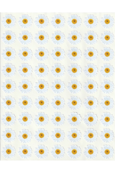 NUNUKİ Beyaz Papatyalar Sticker Seti 2.3 cm Spring Daisies Daisy Stickers Bah...