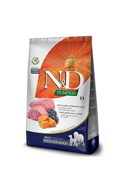 N&D Pumpkin Kuzu Etli, Bal kabaklı ve Yaban Mersinli Medium&Maxi Tahılsız Yetişkin Köpek Maması 12 Kg