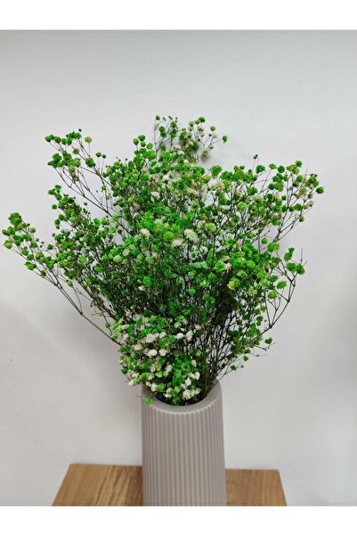 shocket plant Εκτροπευμένα Χρώματα Cipso 1ης Τάξης 40-50 γρ