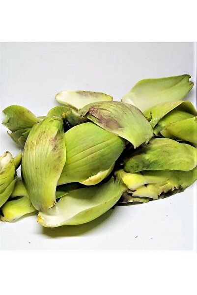 Karareis Çiftliği Taze Enginar Yaprağı 500 G