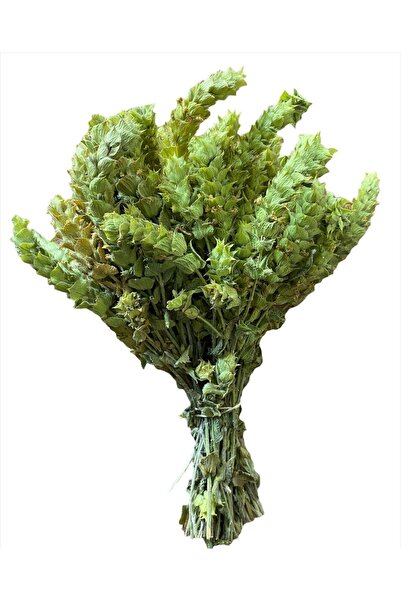 Alanya Özlem Çay Yeşil Ada Çayı Tazecik Bir Bağ