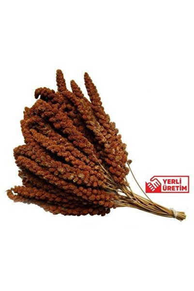 grpet Ithal Kızıl Dal Darı 500 Gr(iri Boy)