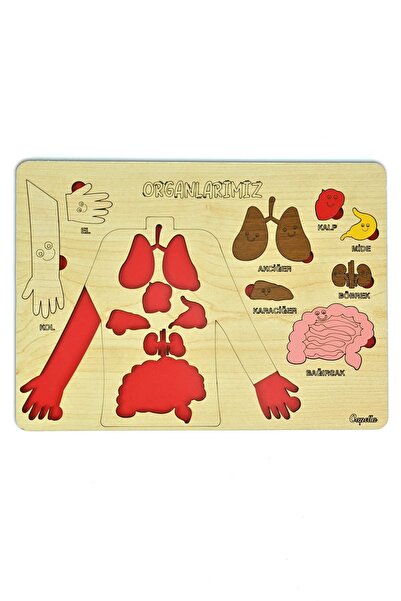 Capellawoodworks Educational Toy - Our Wooden Organs Bultak Puzzle