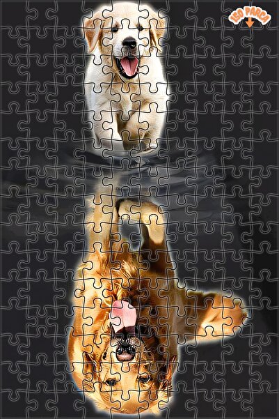 Teona Ahşap Köpek Yavrusu Hırsı Dekoratif Çift Katlı Çerçeveli Asılabilir Ahş...