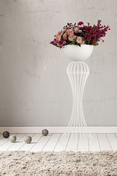 Begüsa Sago Saksılık Beyaz