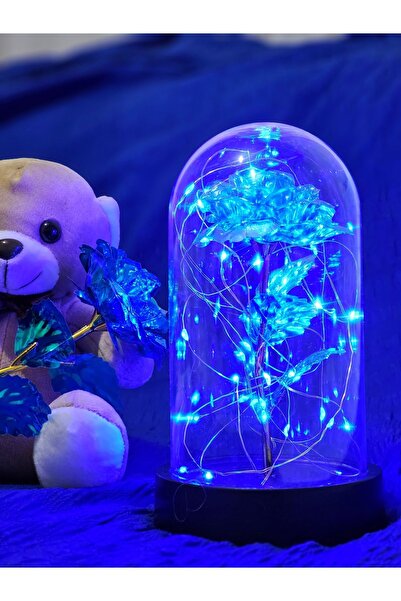 zanfagroup Sevgililer Günü Dekoratif Mavi Peri Led Işıklı Solmayan Sonsuzluk ...