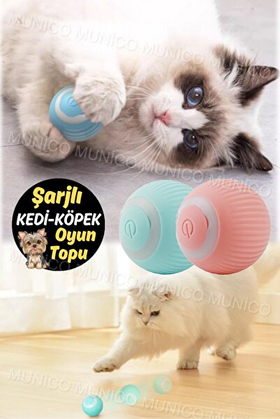 Munico Kedi Oyuncakları Topu, 360 Derece Kendi Kendine Dönen Kedi Topu USB Şa...