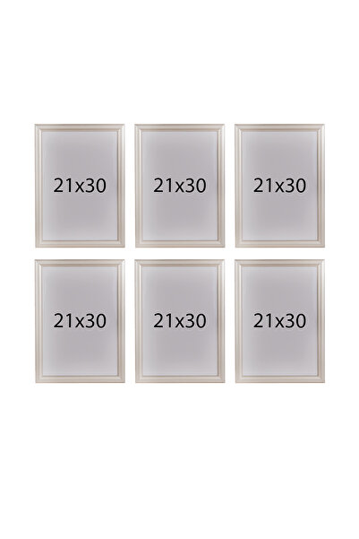 Araste 21x30 (A4) 6 إطارات (جودة) موديل PVC Li
