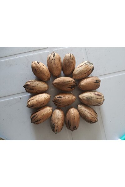 zeytintaş Pikan 2 kg