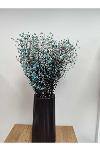 shocket plant Εκτροπευμένα Χρώματα Cipso 1ης Τάξης 40-50 γρ