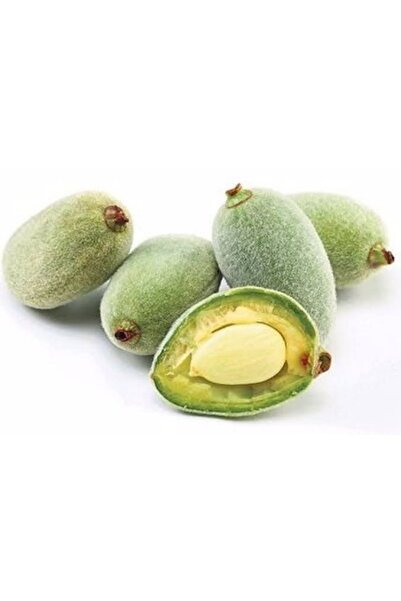 Hamile Marketim Taze Çağla ( 250gr)