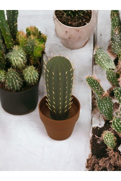 Gold Garden Θήκη οδοντογλυφίδας Cactus