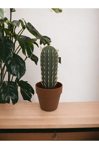 Gold Garden Θήκη οδοντογλυφίδας Cactus