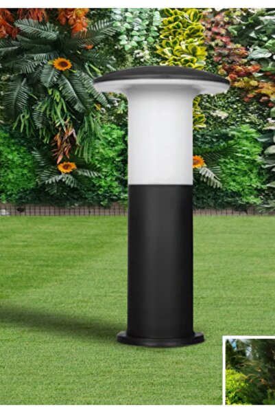 fullreyon 10 Wat Beyaz Işık Ampul Dahil Dekoratif Set Üstü Mantar Aplik, Bahç...