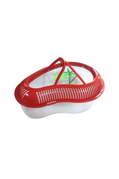 AquaHome 26X20 cm Red Turtle Garden