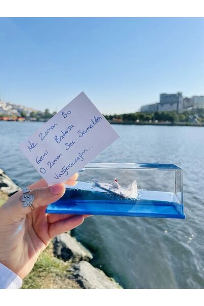 STFAST Titanic Aşk Gemisi Batmayan Gemi Yıl Dönümü Kız Arkadaş Doğum Günü Hediye Sevgiliye Akvaryum