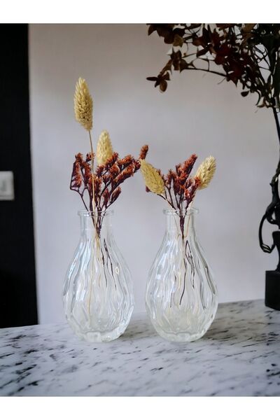 Binbirdemet 2'li Şeffaf Mini Dekoratif Vazo