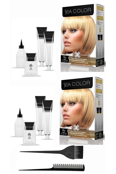 Sea Color Bir Kutuda 2 Boyama X2 Adet 9.0 Sarı Tarak Fırça