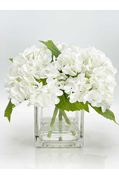 P H Panayır Home Cam Düz Masa Üstü Kare Vazo, Kare Saksı 10x10 Cm