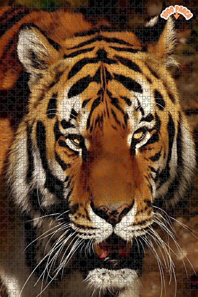 Teona Ahşap Turuncu Canavar Dekoratif Çift Katlı Çerçeveli Asılabilir Ahşap P...