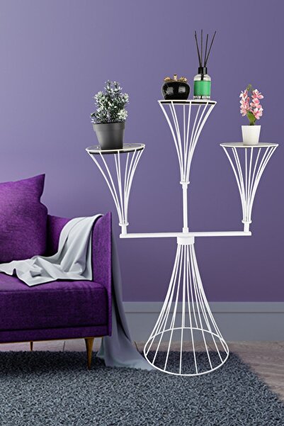 Begüsa Dimitri 3.Lü Saksılık Beyaz