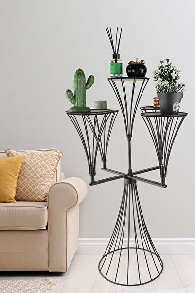 Begüsa Dimitri 5.Li Saksılık Siyah