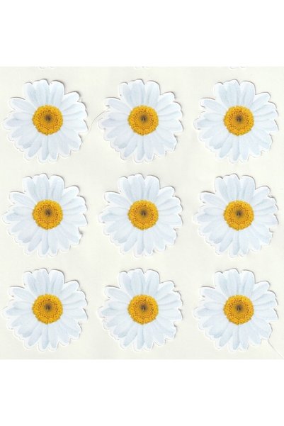NUNUKİ White Daisies Sticker Set 2.3 cm Spring Daisies Daisy Stickers Spring Decal Sticker Nsti0174