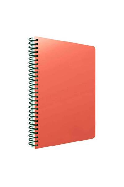 Gıpta Eko Spiralli Nar Çiçeği Plastik Kapak 120 Yaprak A4 Çizgili Defter
