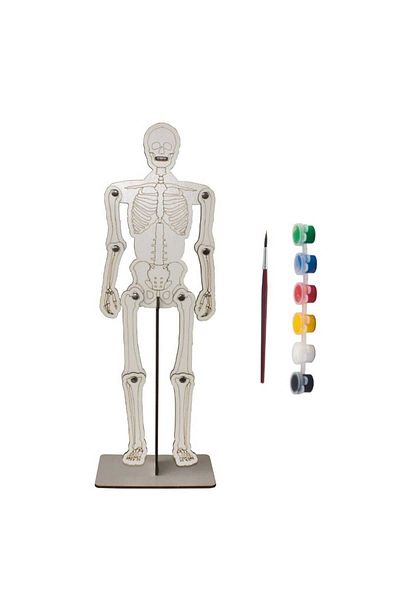Bebek Özel Wooden Paintable Model and Painting Set - Puzzle Toy