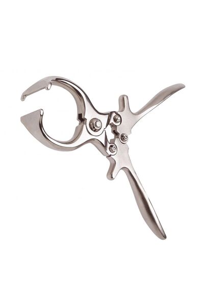 Genel Markalar Küçük Burdizo Pensi