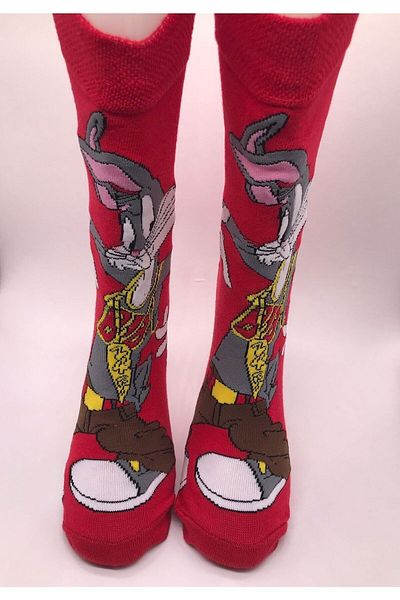 Çorap Kurdu PATTERNED CHARACTER COLORED SOCKET SOCKS DÇ1