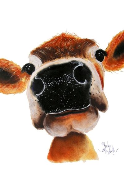 Jeronkarji Jersey Inek Baskı Shirley Macarthur Tarafından 'jersey Joy' Tablo ...