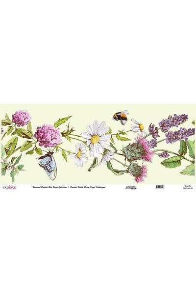 Cadence Universal Border Brass Paper Collection Ubc-020