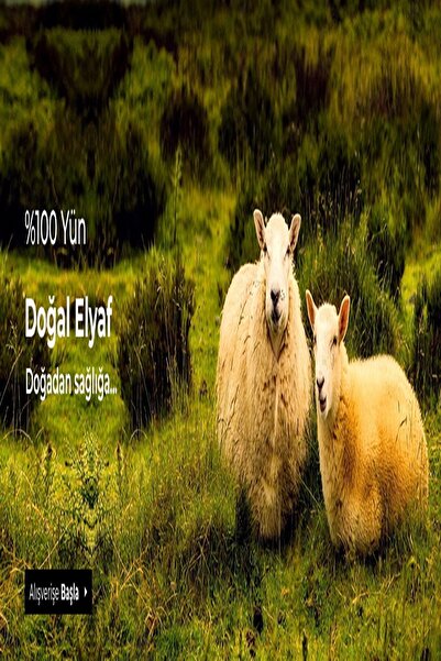 Hasyün Ανδρικά εσώρουχα από φυσικό θερμικό γνήσιο μαλλί Oversize