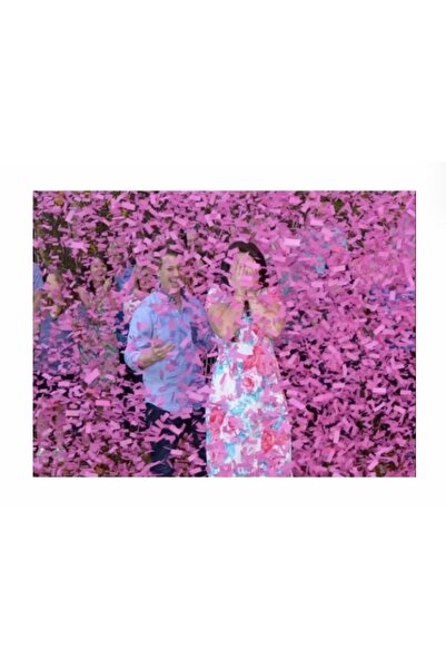 Deniz Party Store PEMBE RENKLİ CİNSİYET Konfeti 1 ADET KIZ MI ERKEKMİ CİNSİYE...