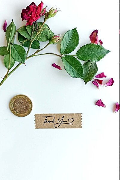 Vice Thank You Sticker / 144 Pcs Kraft Tape Sticker (1,8 X 5,5 cm)