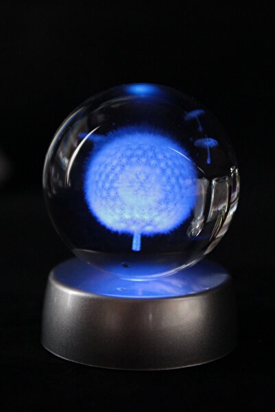 Genel Markalar Karahindiba Çiçekli Cam Küre Işıklı Standlı