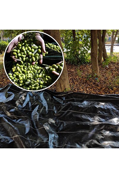 SeraTrend 5X12 METRE ZEYTİN SERGENİ ZEYTİN TOPLAMA ÖRTÜSÜ FINDIK FISTIK DUT T...